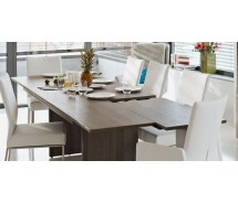 Arte M Wangentisch Deck Esche dunkel 190-285 cm x 75 cm x 95 cm                                                                                           