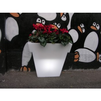 Il Vaso Light Designer Blumentopf