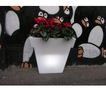 Il Vaso Light Designer Blumentopf