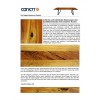 Gigant Esstisch  by Canett Design Massiv Eiche in verschiedenen Größen und Holzvarianten ab 240 cm 