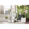 Express Möbel Kommode One 700 , 1 Tür, 4 Schubkästen, verschiedene Farbvarianten B 100 cm x H 80 cm